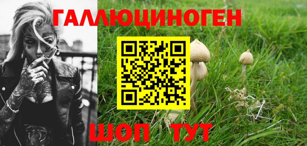 Галлюциногенные грибы Psilocybine cubensis Рассказово